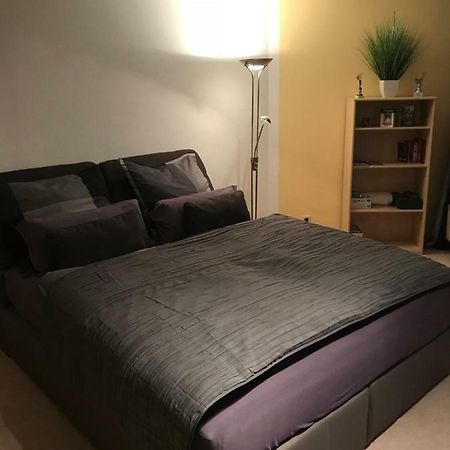 Kleine Wohnung Im Gruenen Drážďany Exteriér fotografie